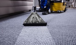 Will I Experience Any Allergy Symptoms After a Carpet Cleaning?