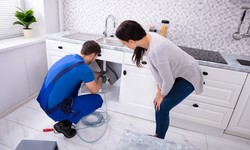 What To Check When Looking For A Professional Plumbing Company?