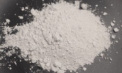 Exploring the Versatile Uses of Diatomaceous Earth