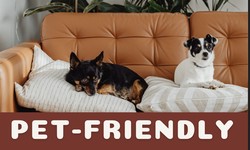 The Ultimate Guide to Pet-Friendly Furniture: Tips for Pet Parents