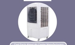 Cool Facts About Air Cooler Manufacturers: You Didn't Know That!