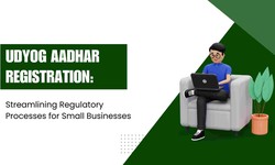 Udyog Aadhar Registration: Streamlining Regulatory Processes for Small Businesses