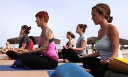 200 Hour Vinyasa Yin Yoga Teacher Training