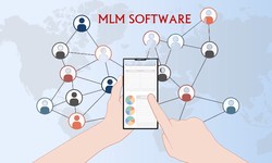 MLM software development company in Lucknow
