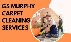 The Ultimate Guide to Carpet Cleaning in Wahroonga: Tips, Techniques, and Benefits