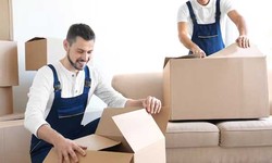 Choosing the Right Office Removalists: Factors to Consider