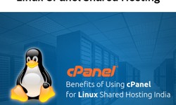 Unleashing the Power of Linux cPanel Shared Hosting: A Comprehensive Guide