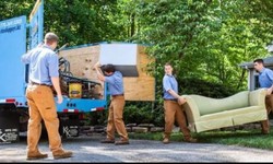 Top Qualities to Look for in the Best Junk Removal Service
