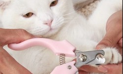 Regular pet grooming: An important ritual for your furry friend