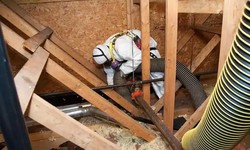 Upgrade Your Home with Professional Insulation Removal Services