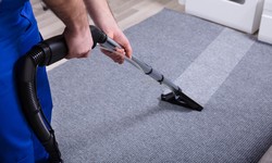 Carpet Cleaning Somerton Park: Instant Carpet Cleaning Excellence
