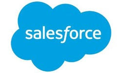 Unlock Success: Hire Salesforce Developers Today