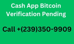 Cash App Bitcoin Verification Is Pending: Why So?