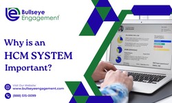 Why is an HCM System Important?