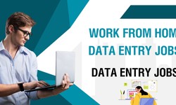 Work from Home Jobs: Exploring the World of Data Entry