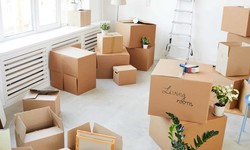 Advice for an Effortless Transition Through the Maze of House Moves