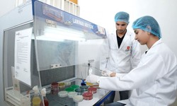 Unveiling the World of B.Sc. in Medical Laboratory Technology