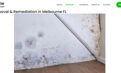 Complete Guide to Mold Testing in Melbourne