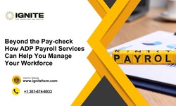 Beyond the Pay-check How ADP Payroll Services Can Help You Manage Your Workforce