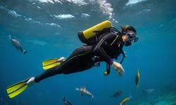Dive Into Success: Tips for Finding Scuba Diving Jobs
