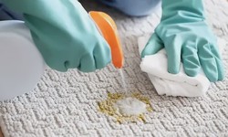 How to Clean Vomit from Carpet