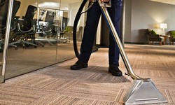 Revitalize Your Home with Professional Carpet Cleaning Services in Milton
