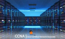 Mastering Networking Fundamentals: A Foundation for CCNA Success