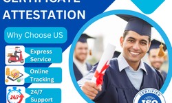 Navigating Degree Certificate Attestation: A Step-by-Step Guide