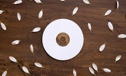 Bodaq Vinyl: The Versatile Solution for Stylish Spaces
