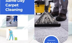 Carpet Cleaning in Forrestfield: Ensuring a Fresh and Healthy Home Environment