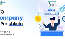 What Makes a Top SEO Agency in Panchkula Stand Out?