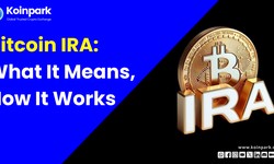 Bitcoin IRA: What It Means, How It Works