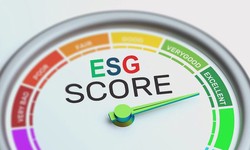 How Effective Are ESG Score Rating Agencies in Promoting Sustainable Practices?