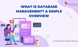 What is Database management? A simple Overview