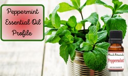 The Power of Peppermint Essential Oil: Benefits, Uses, and More