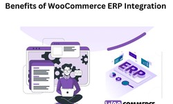 Strategic Integration: Optimizing Operations with WooCommerce ERP