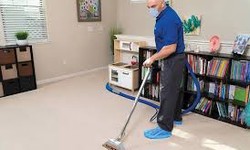 What is the most effective carpet cleaning method?