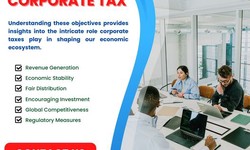 How a Certified Corporate Tax Consultant Can Help Your Business in Dubai