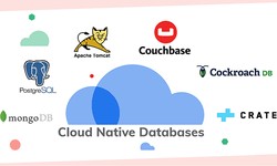 Exploring Cloud-Native Database­ Solutions for Software Projects