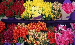 Effective Ways Of Choosing The Best Flowers In Dubai