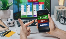 What are the top benefits of online sports betting sites?