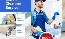 Upgrade Your Area with Skilled Cleaning Services