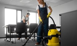 Ultimate Guide to Carpet Cleaning in Gainesville FL: Tips from the Pros