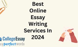 Best online Essay Writing Services In 2024