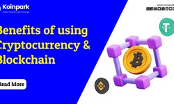 Benefits of using Cryptocurrency and Blockchain