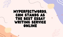 MyPerfectWords.com Stands as the Best Essay Writing Service