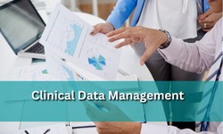 Guide to Clinical Data Management Courses