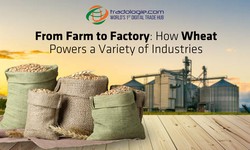 From Farm to Factory: How Wheat Powers a Variety of Industries