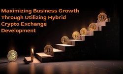 Maximizing Business Growth Through Utilizing Hybrid Crypto Exchange Development