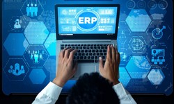 Efficiency Online: Navigating the World of Web-Based ERP